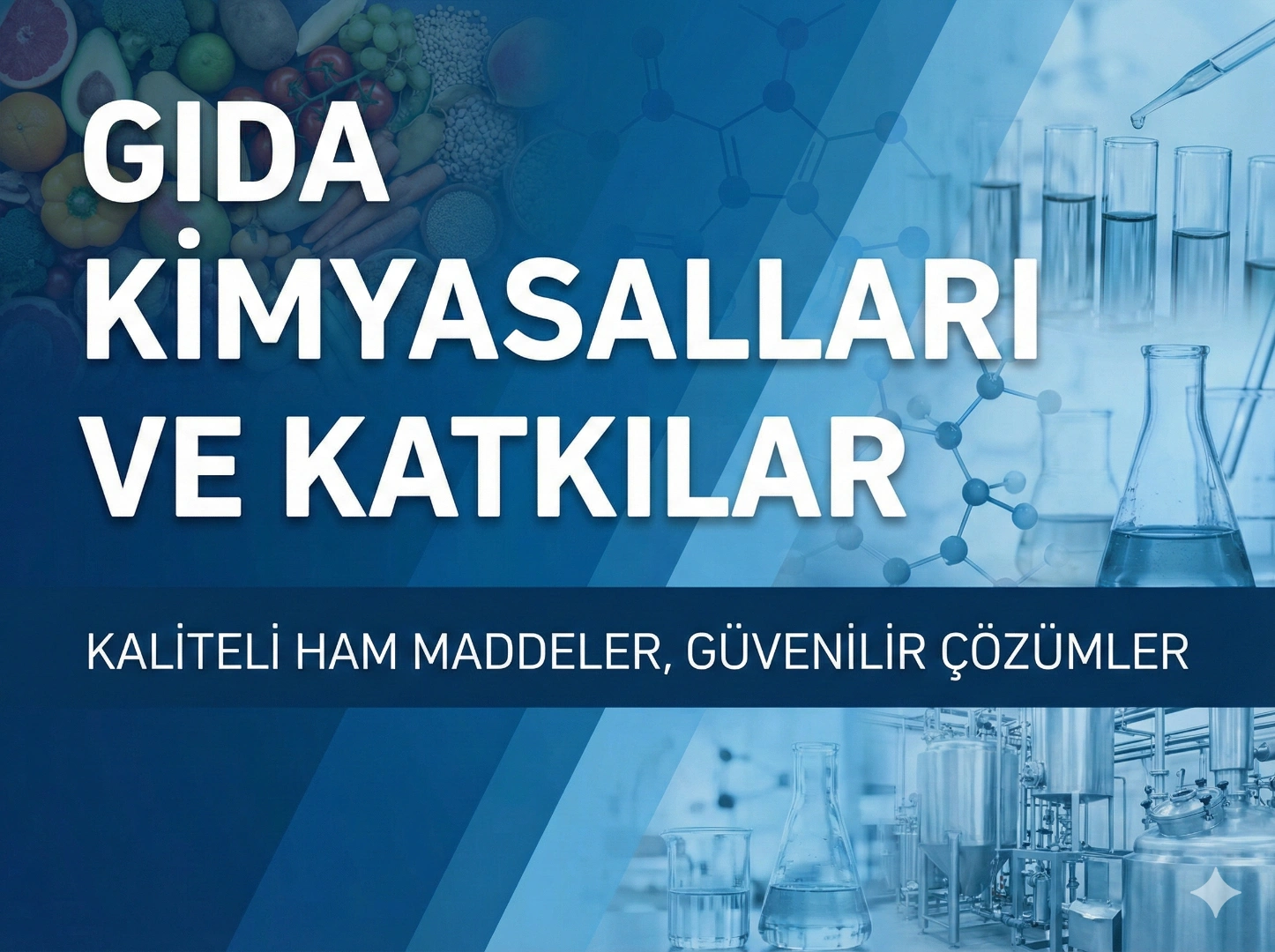 Gıda kimyasalları